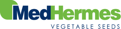 Med Hermes